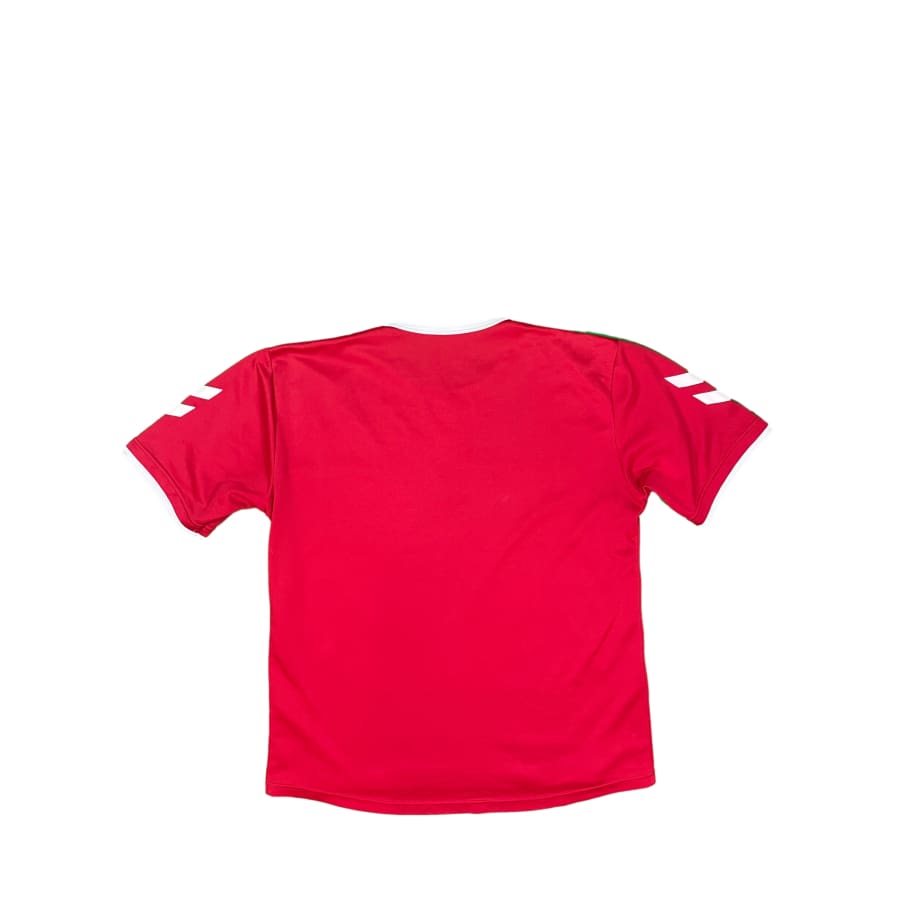 Maillot entraînement Reims #19